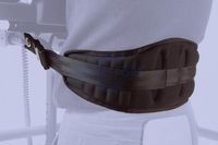 CINCHA DORSAL Ref:AC0783